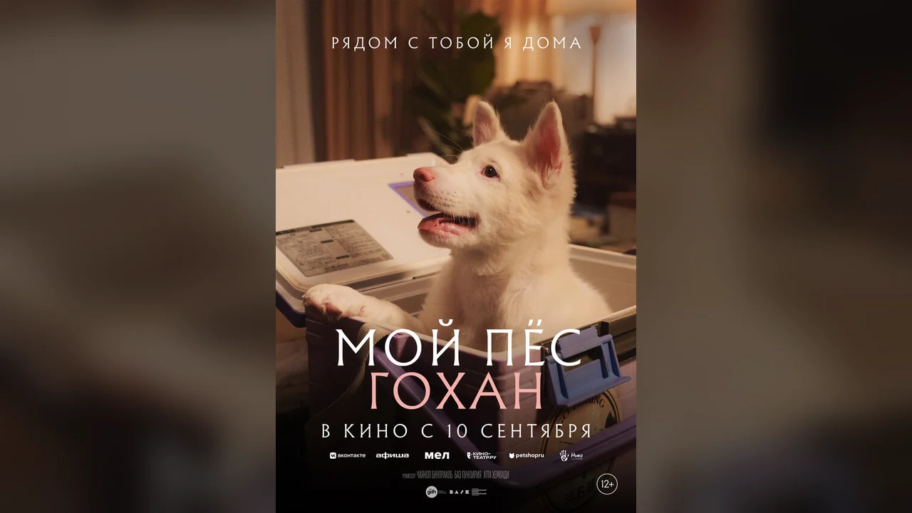Фильм Мой пёс Гохан (2026)